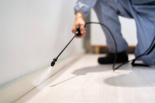 Certified termite inspector examining foundation in Gordon