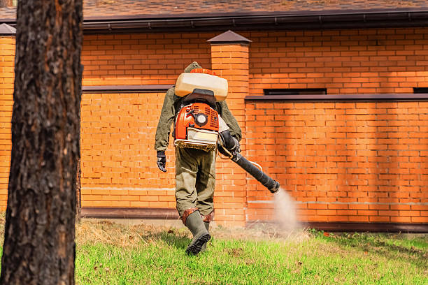 Bed Bug Clearance Verification and Documentation in Gordon